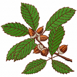 Acorn Embroidery Design 6